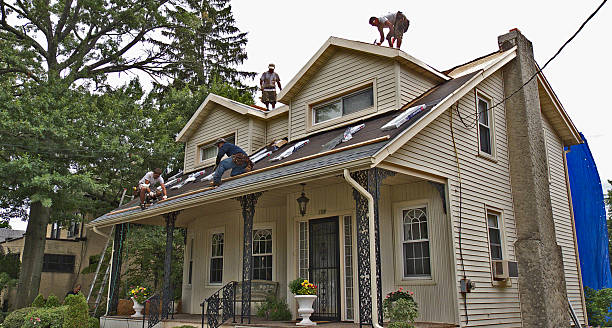 Best Metal Roofing Contractor  in New Lexington, OH
