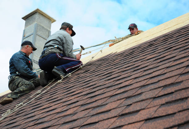 Best Residential Roofing Contractor  in New Lexington, OH