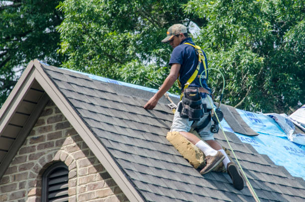 Best Roof Repair Services  in New Lexington, OH